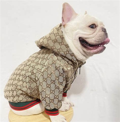 pet gucci clothes|glamour mutt dog boutique.